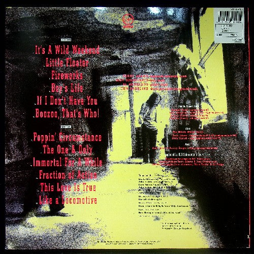 EBOND NRBQ - Wild Weekend Vinile V030121