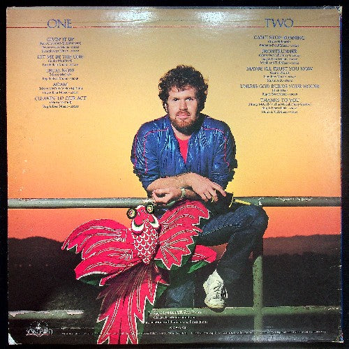 EBOND Marty McCall & Fireworks - Up Vinile V030143