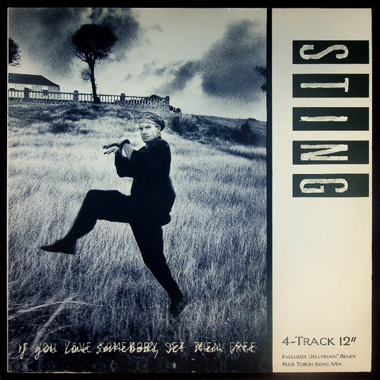 EBOND Sting - If You Love Somebody Set Them Free Vinile V033008