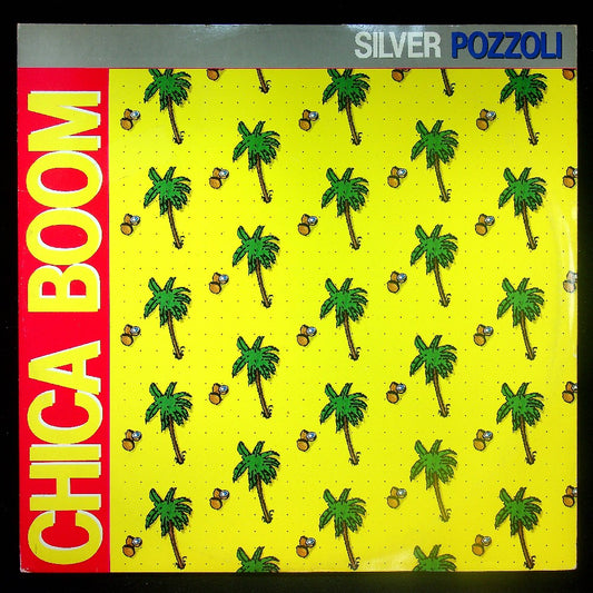 EBOND Silver Pozzoli - Chica Boom Vinile V035088