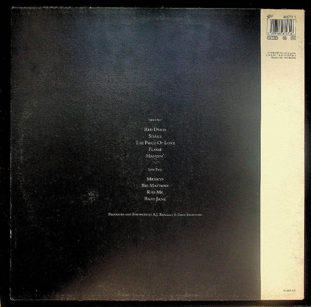 EBOND Andrew Ridgeley - Son Of Albert Vinile V037101