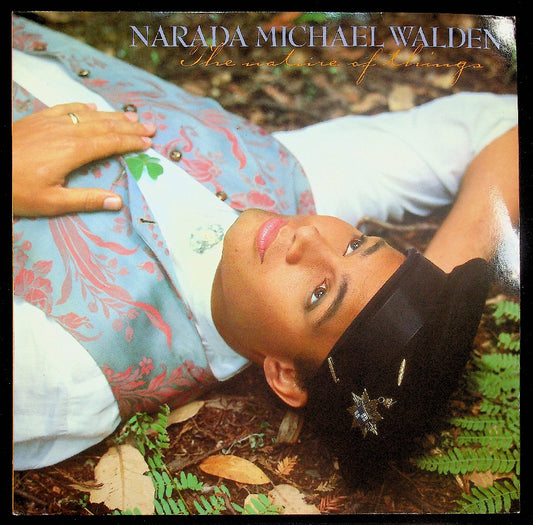 EBOND Narada Michael Walden - The Nature Of Things - EU Vinile V038048