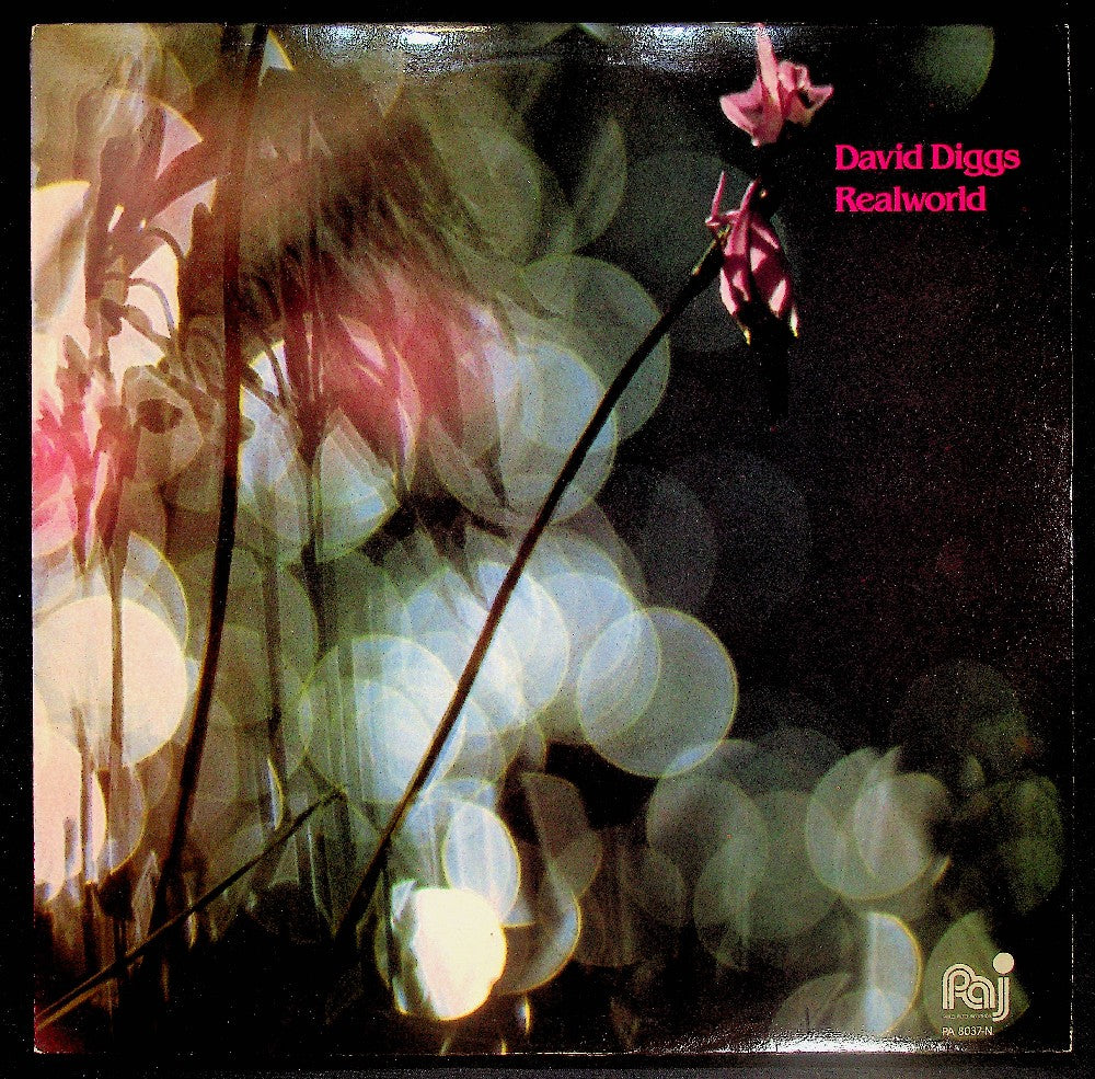 EBOND David Diggs - Realworld Vinile V038073