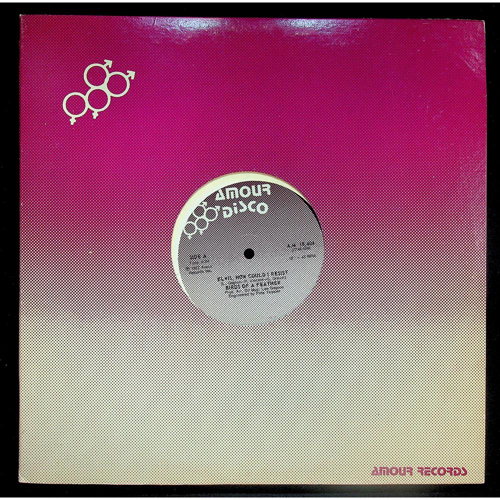 EBOND Birds Of A Feather - Elvis, How Could I Resist Vinile V043022