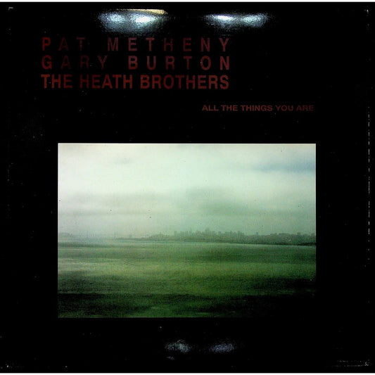 EBOND Pat Metheny - All The Things You Are Vinile V051004