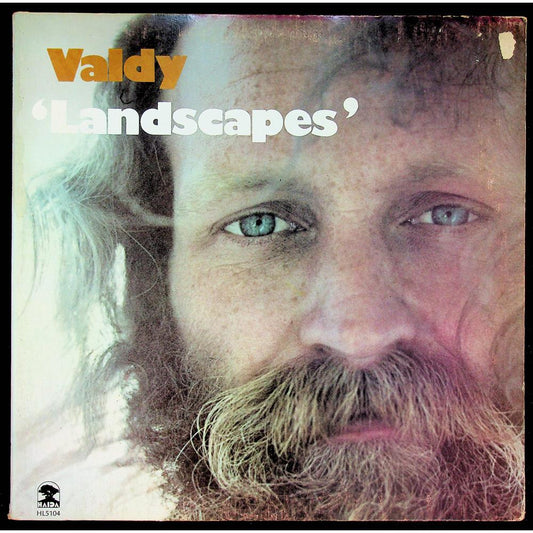 EBOND Valdy - Landscapes Vinile V052034