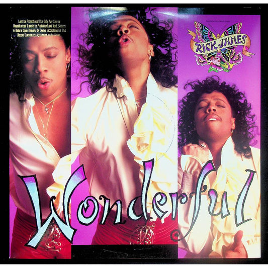 EBOND Rick James - Wonderful Vinile V052090