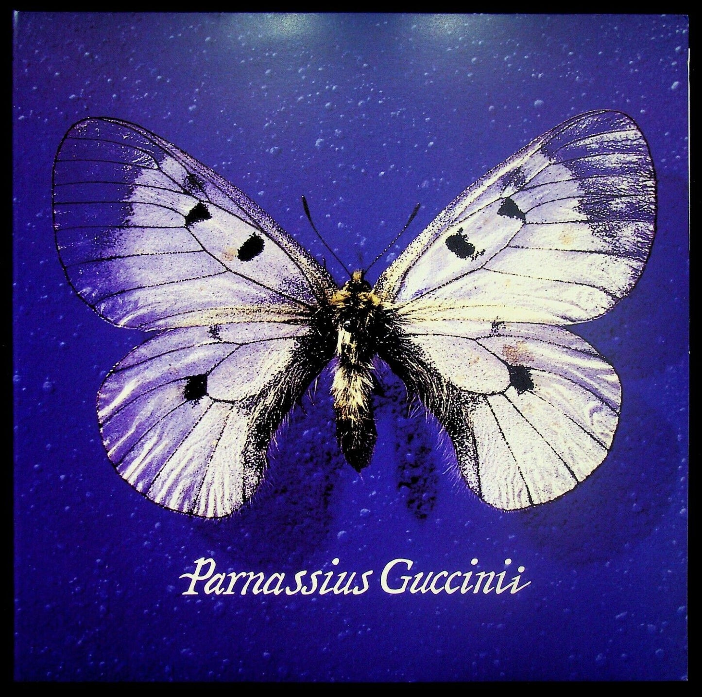 EBOND Francesco Guccini - Parnassius Guccinii - Editoriale -- V057009 Vinile V057009