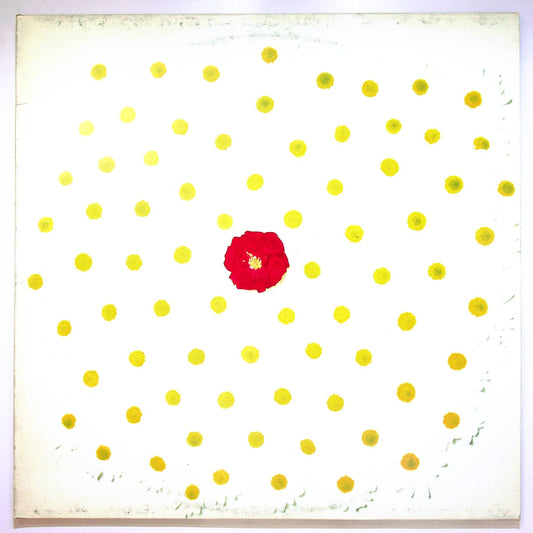 EBOND The Dream Academy - Remembrance Days Vinile V065104