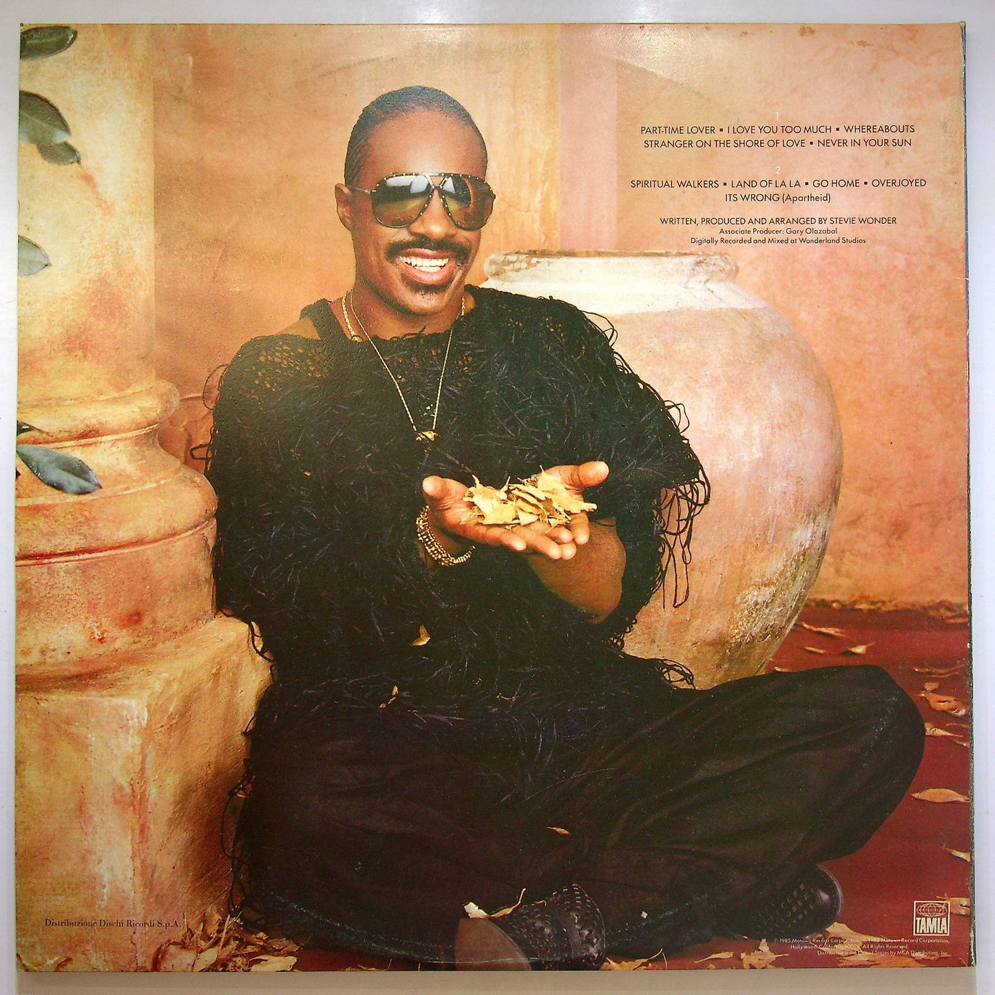 EBOND Stevie Wonder - In Square Circle Vinile V068082
