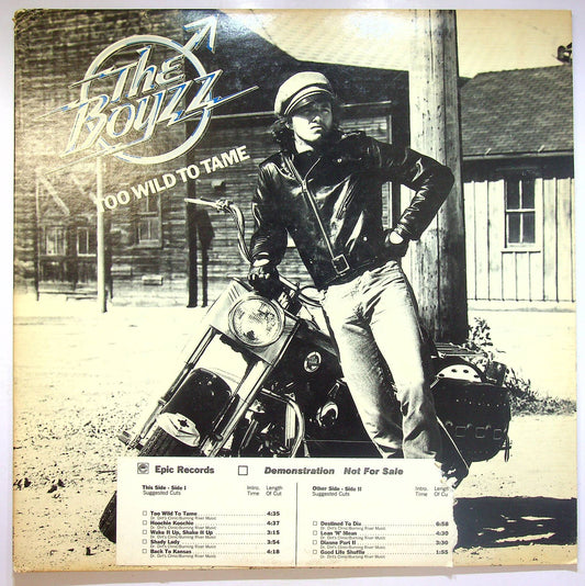 EBOND The Boyzz - Too Wild To Tame (PROMO) Vinile V070040