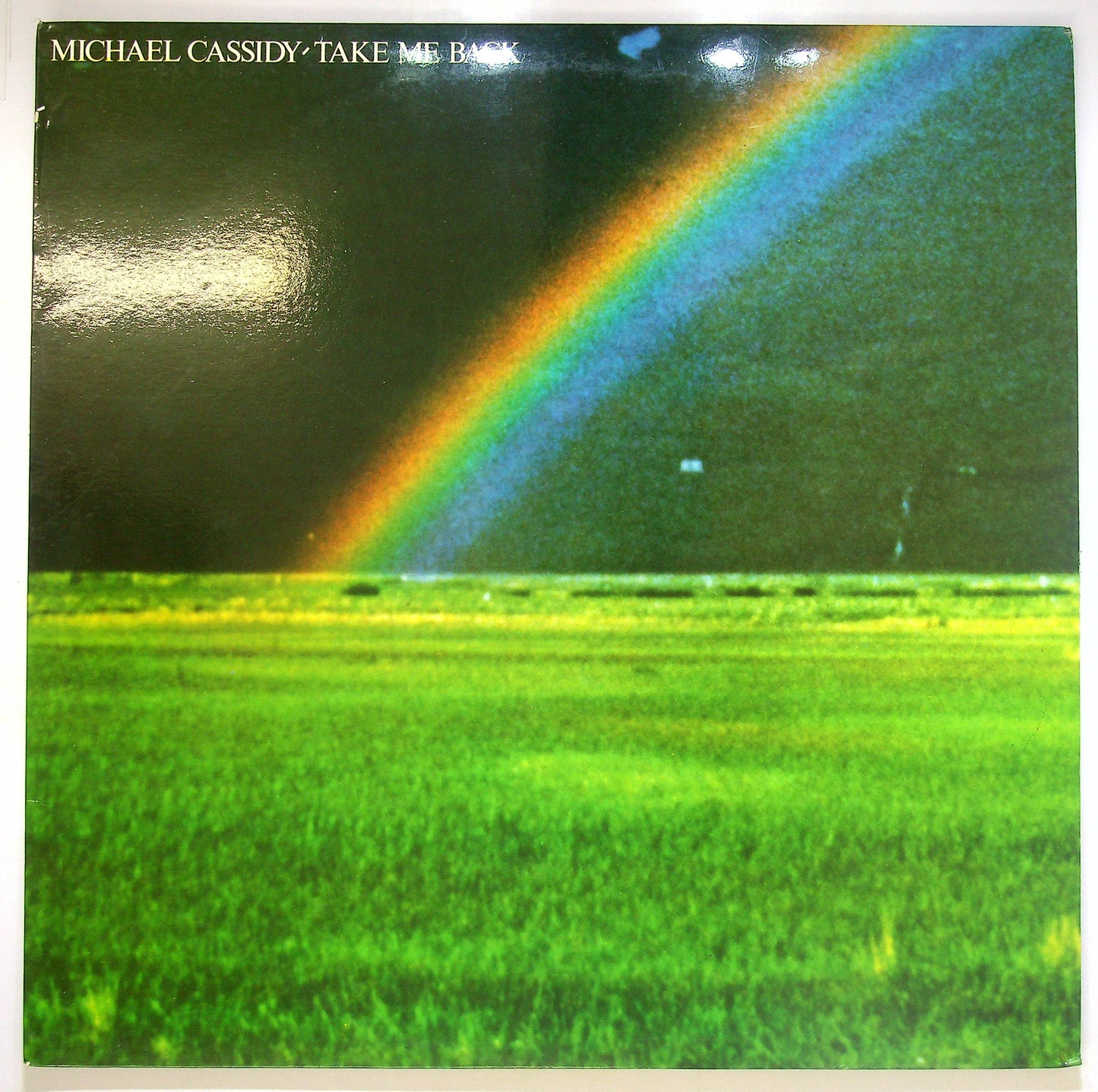 EBOND Michael Cassidy - Take Me Back Vinile V078107