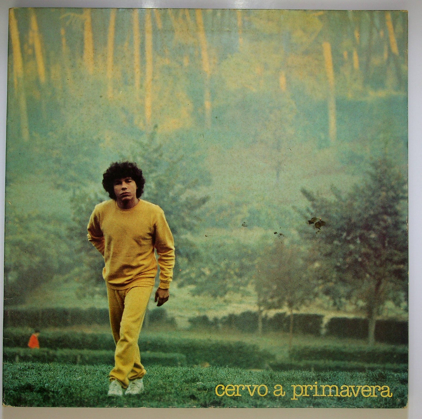 EBOND Riccardo Cocciante - Cervo A Primavera Vinile V082049