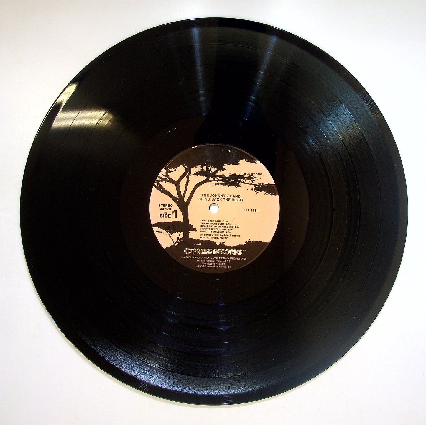 EBOND The Johnny Z Band - Bring Back The Night Vinile V084046