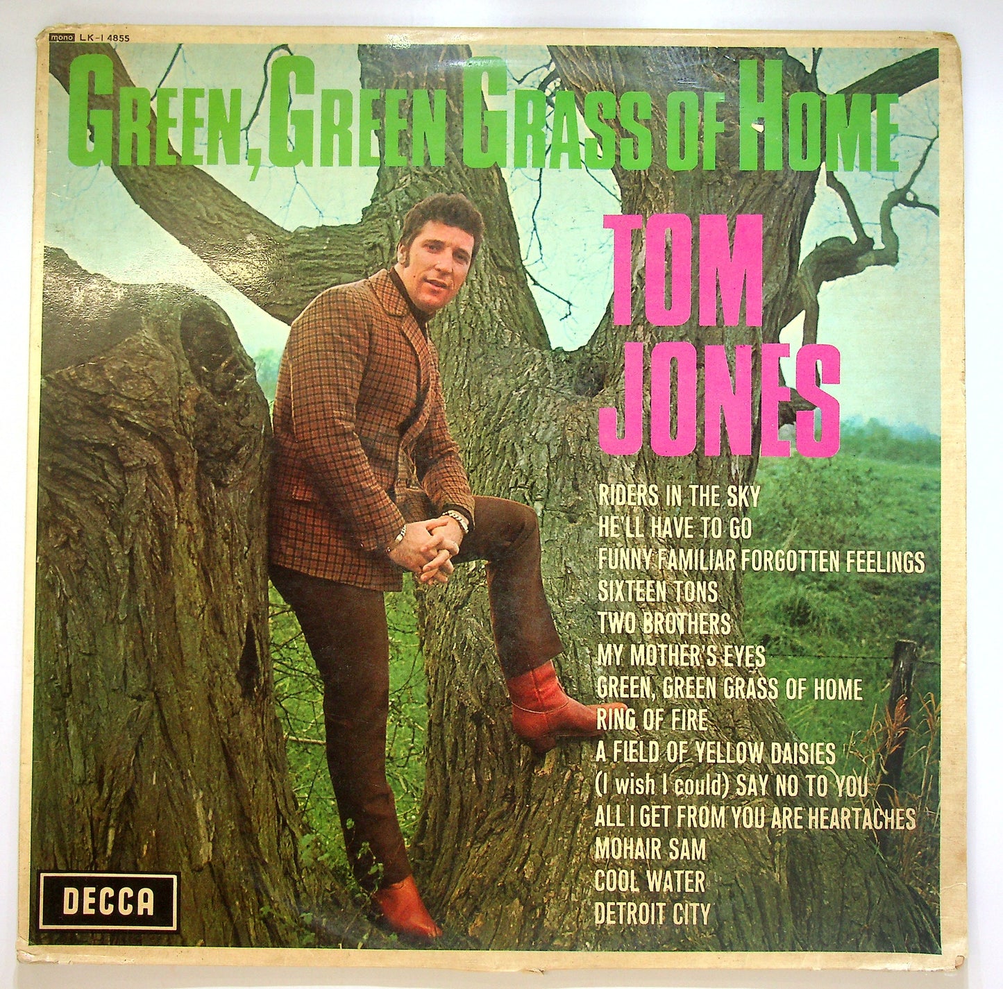 EBOND Tom Jones - Green, Green Grass Of Home Vinile V085016