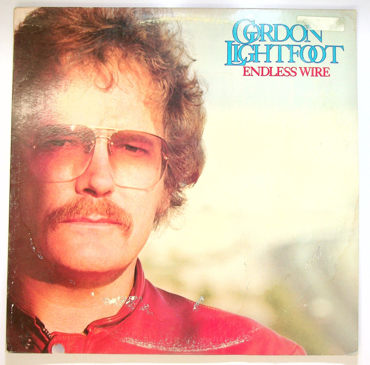 EBOND Gordon Lightfoot - Endless Wire Vinile V085058