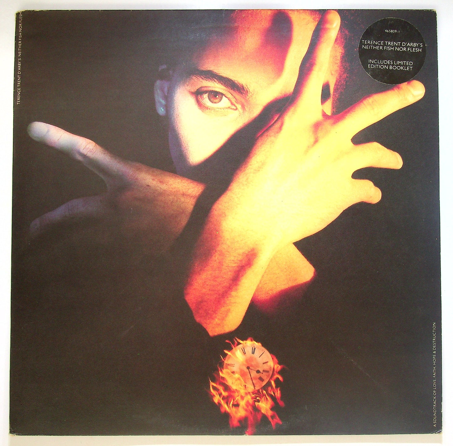 EBOND Terence Trent D'Arby's Neither Fish Nor Flesh Vinile V085061