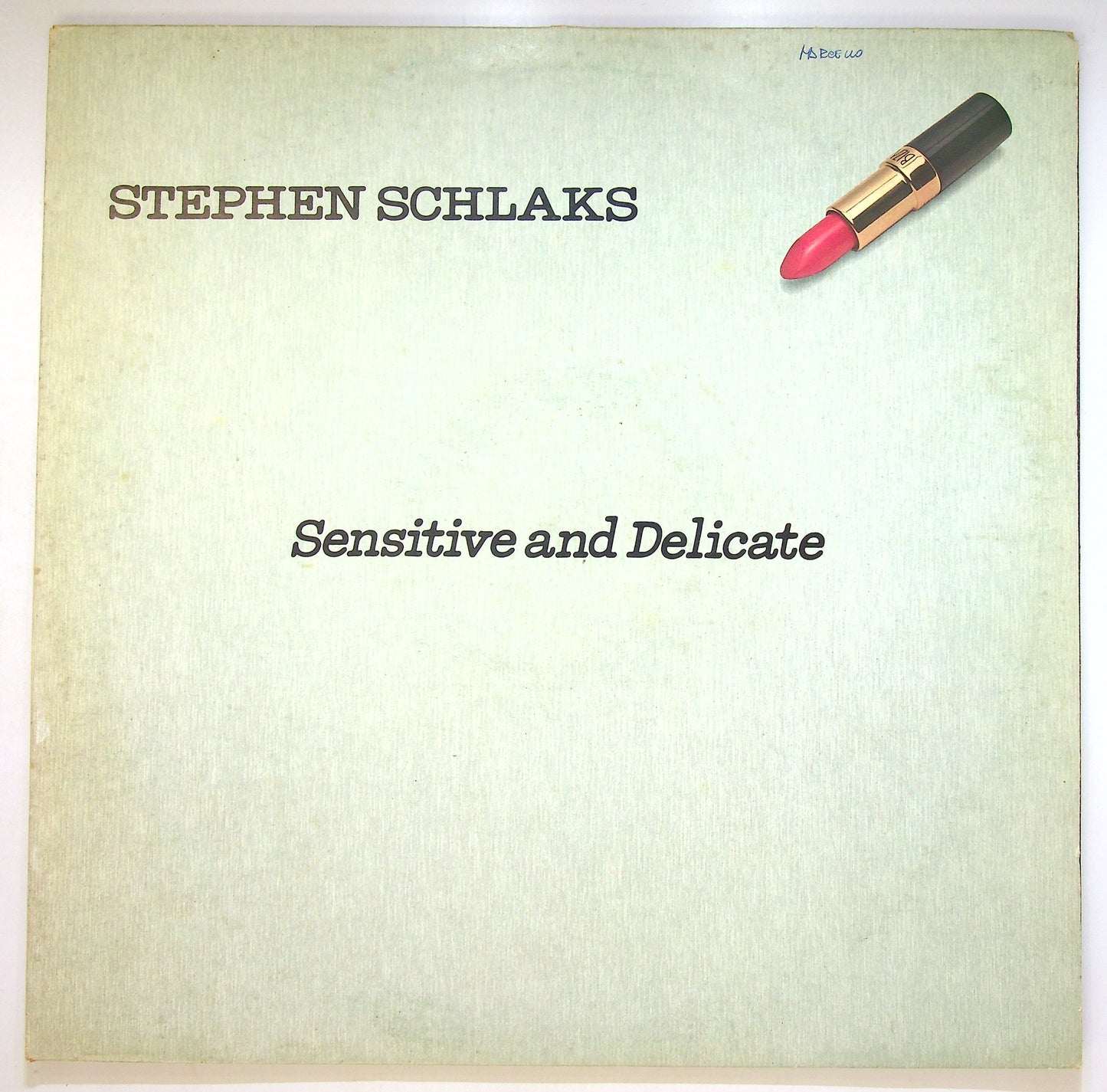 EBOND Stephen Schlaks - Sensitive And Delicate Vinile V086006