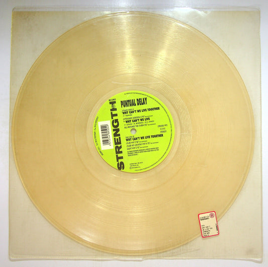 EBOND Puntual Delay - Why Can't We Live Together Vinile V093042
