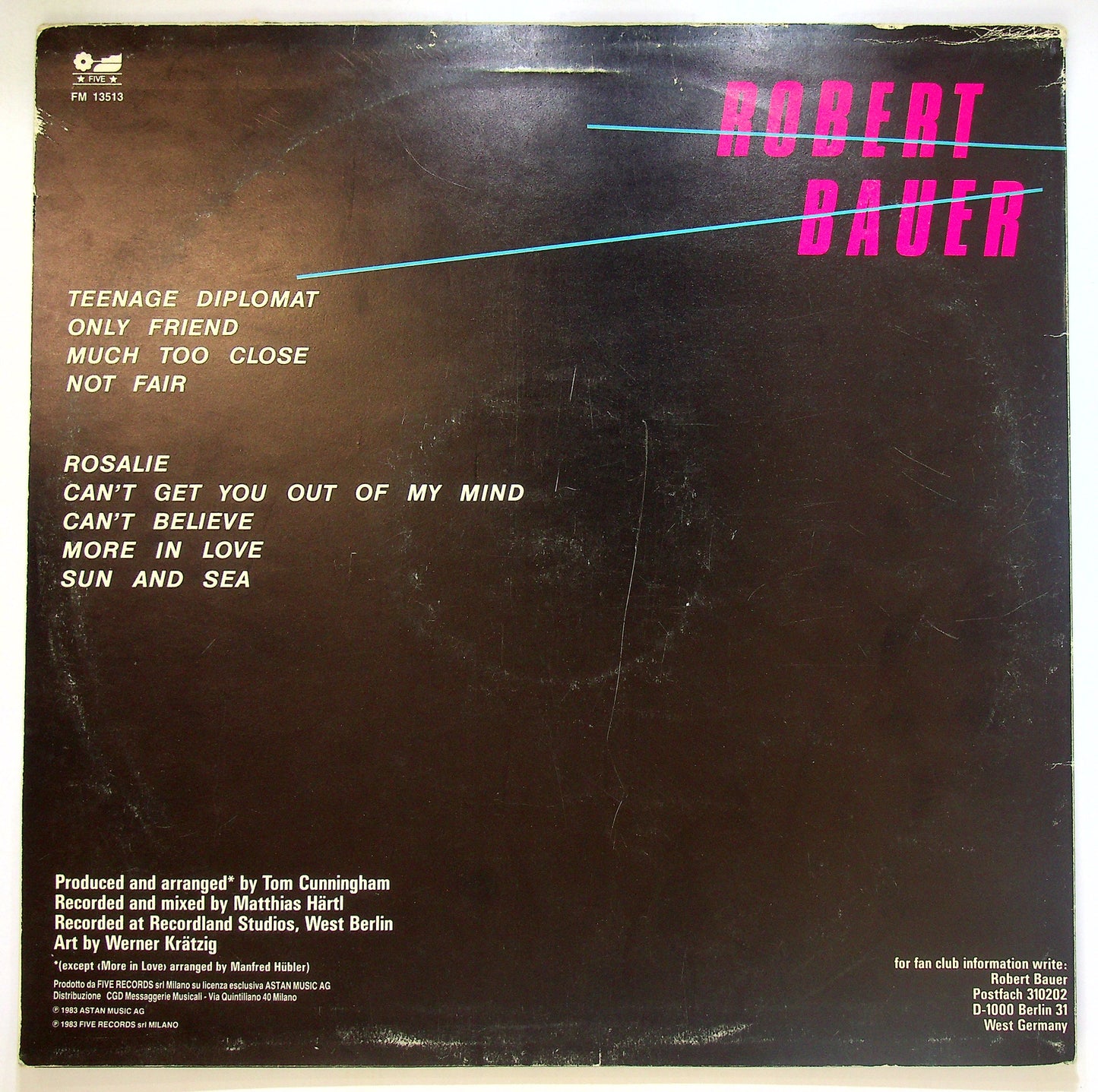 EBOND Robert Bauer - Teenage Diplomat Vinile V094121