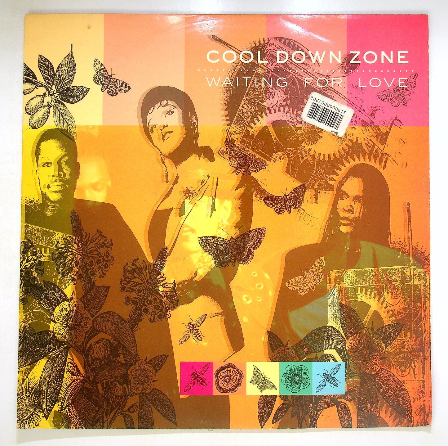 EBOND Cool Down Zone - Waiting For Love Vinile V095092