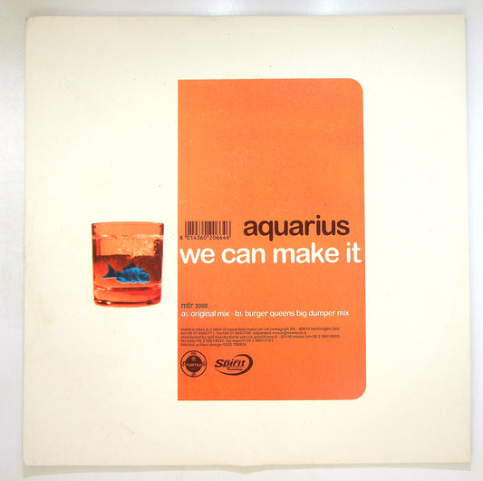 EBOND Aquarius - We Can Make It Vinile V095144