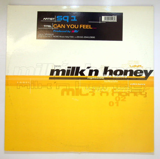 EBOND SQ-1 - Can You Feel... Vinile V097031