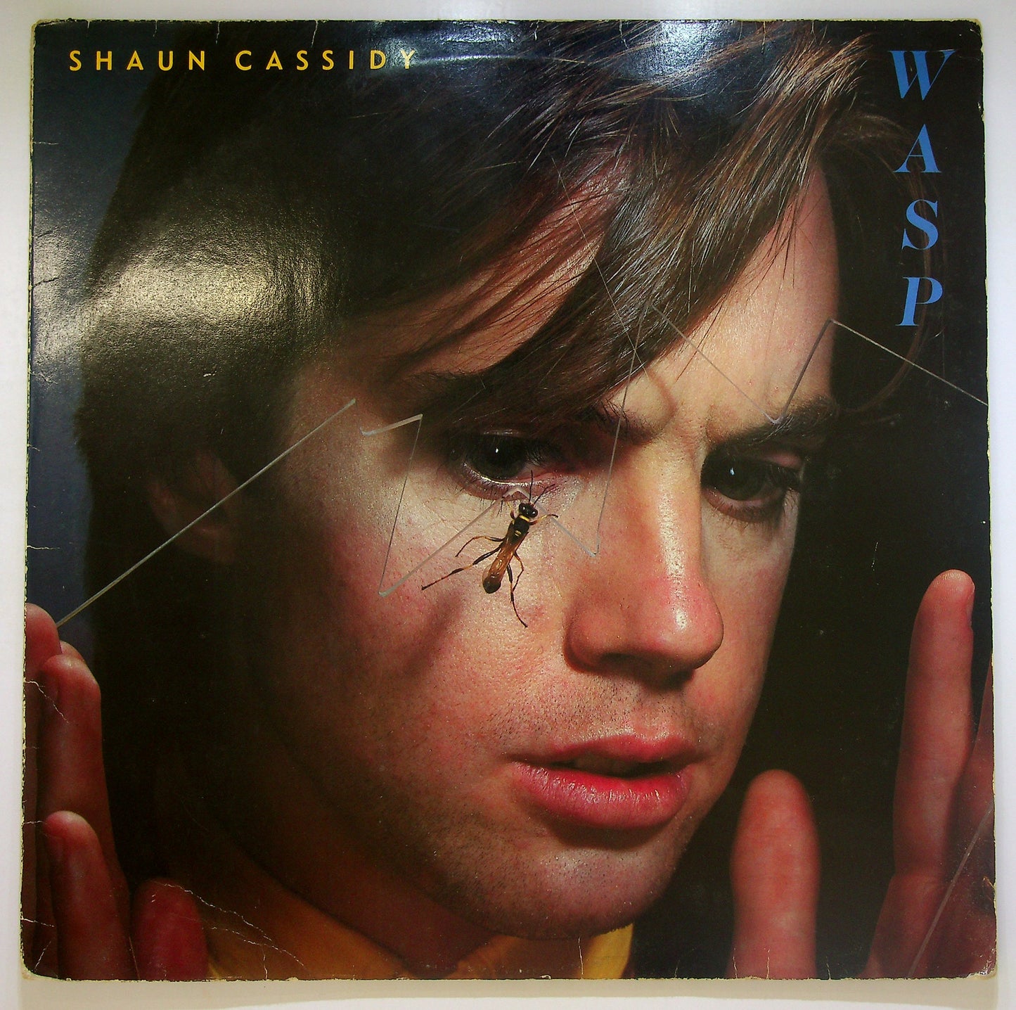 EBOND Shaun Cassidy - Wasp Vinile V099048