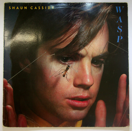 EBOND Shaun Cassidy - Wasp Vinile V099048