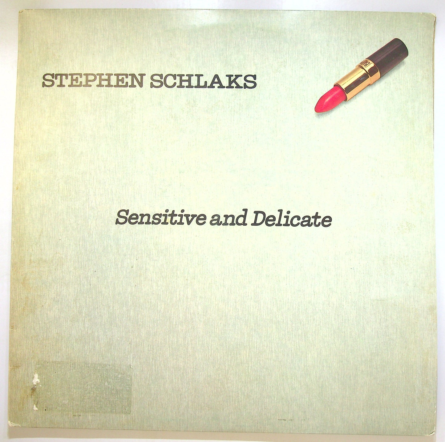 EBOND Stephen Schlaks - Sensitive And Delicate Vinile V105019