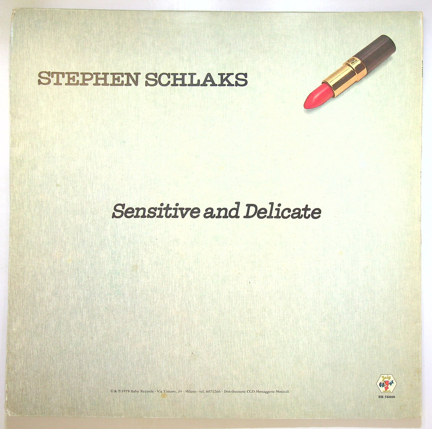 EBOND Stephen Schlaks - Sensitive And Delicate Vinile V105019
