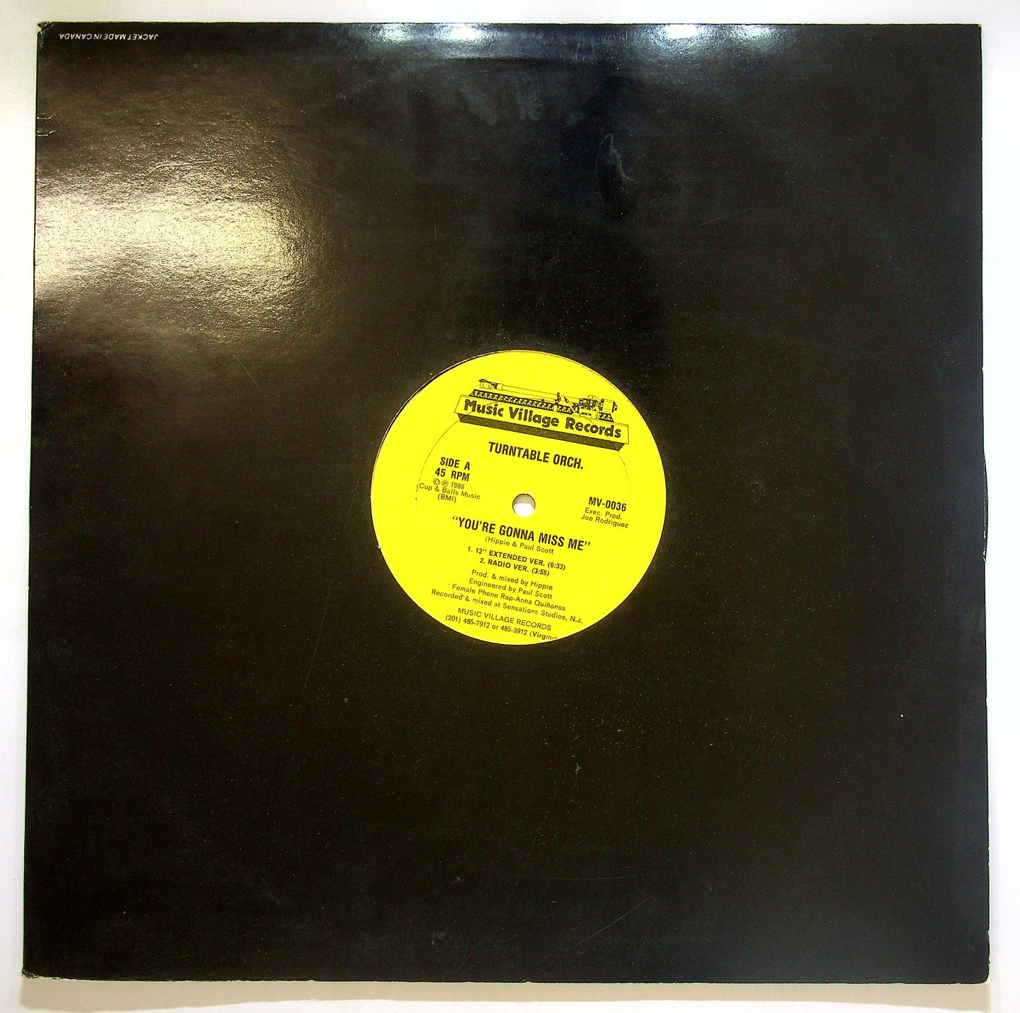 EBOND Turntable Orch. - You're Gonna Miss Me Vinile V105043