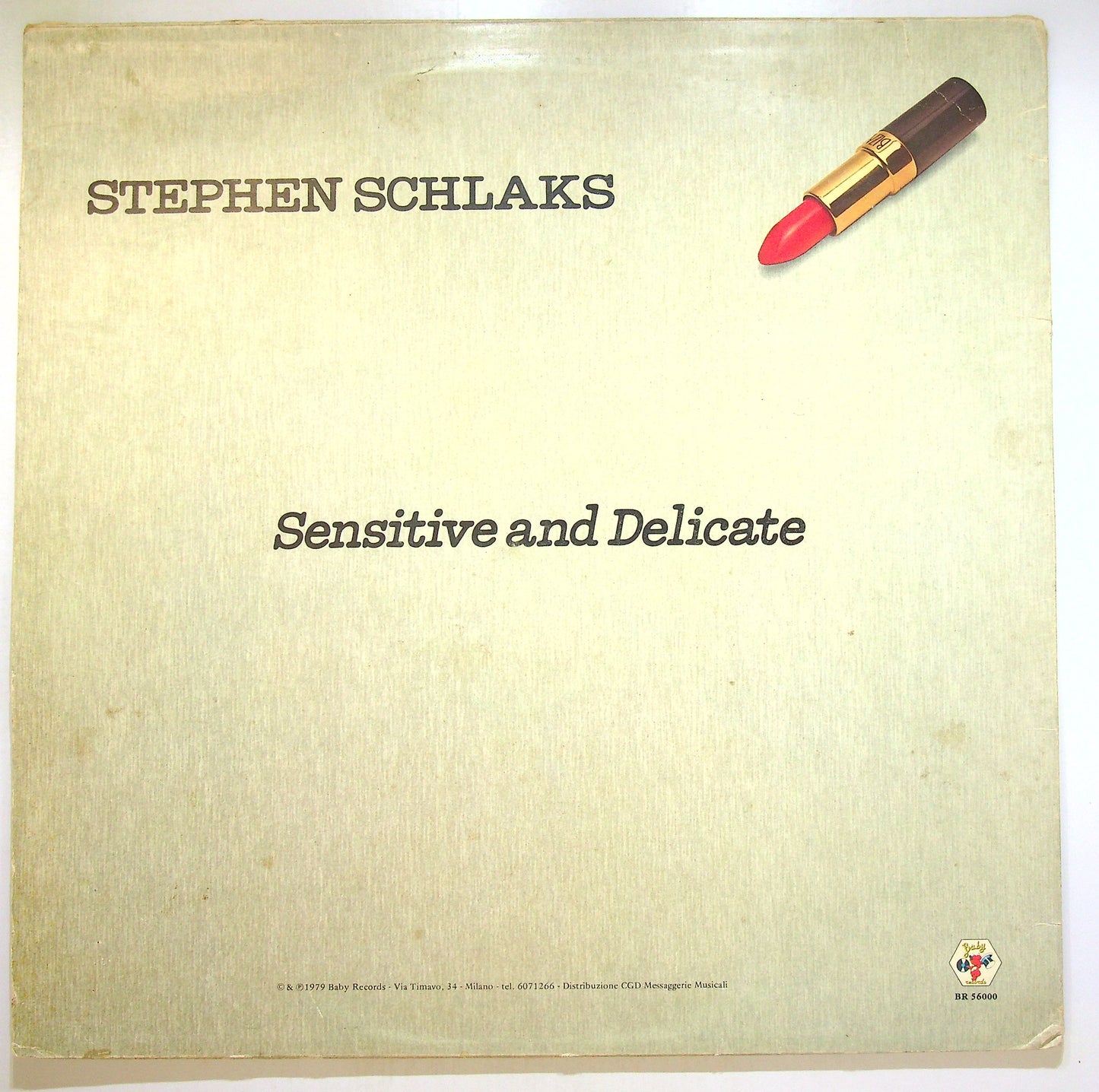 EBOND Stephen Schlaks - Sensitive And Delicate Vinile V105143