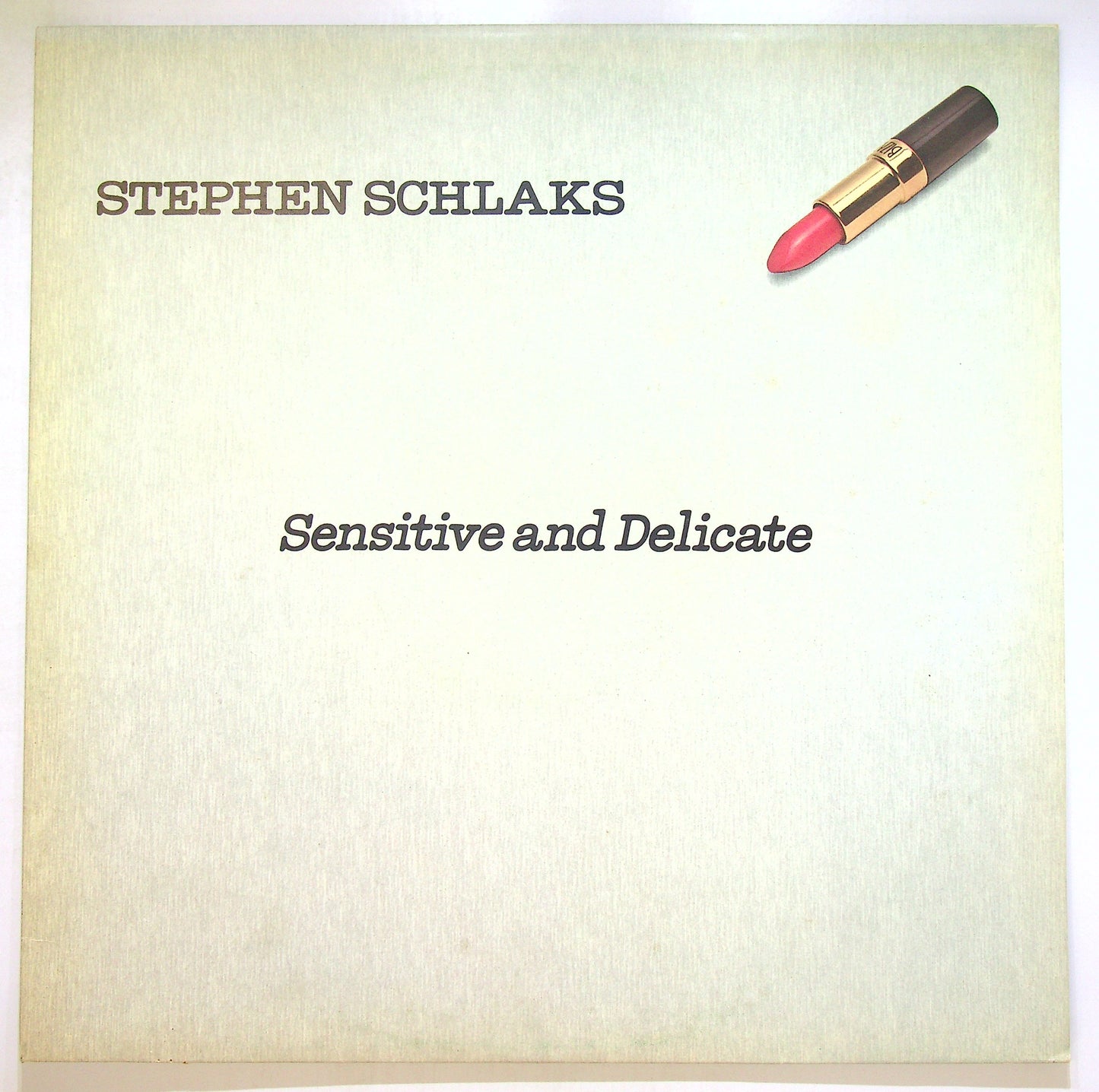 EBOND Stephen Schlaks - Sensitive And Delicate Vinile V106073