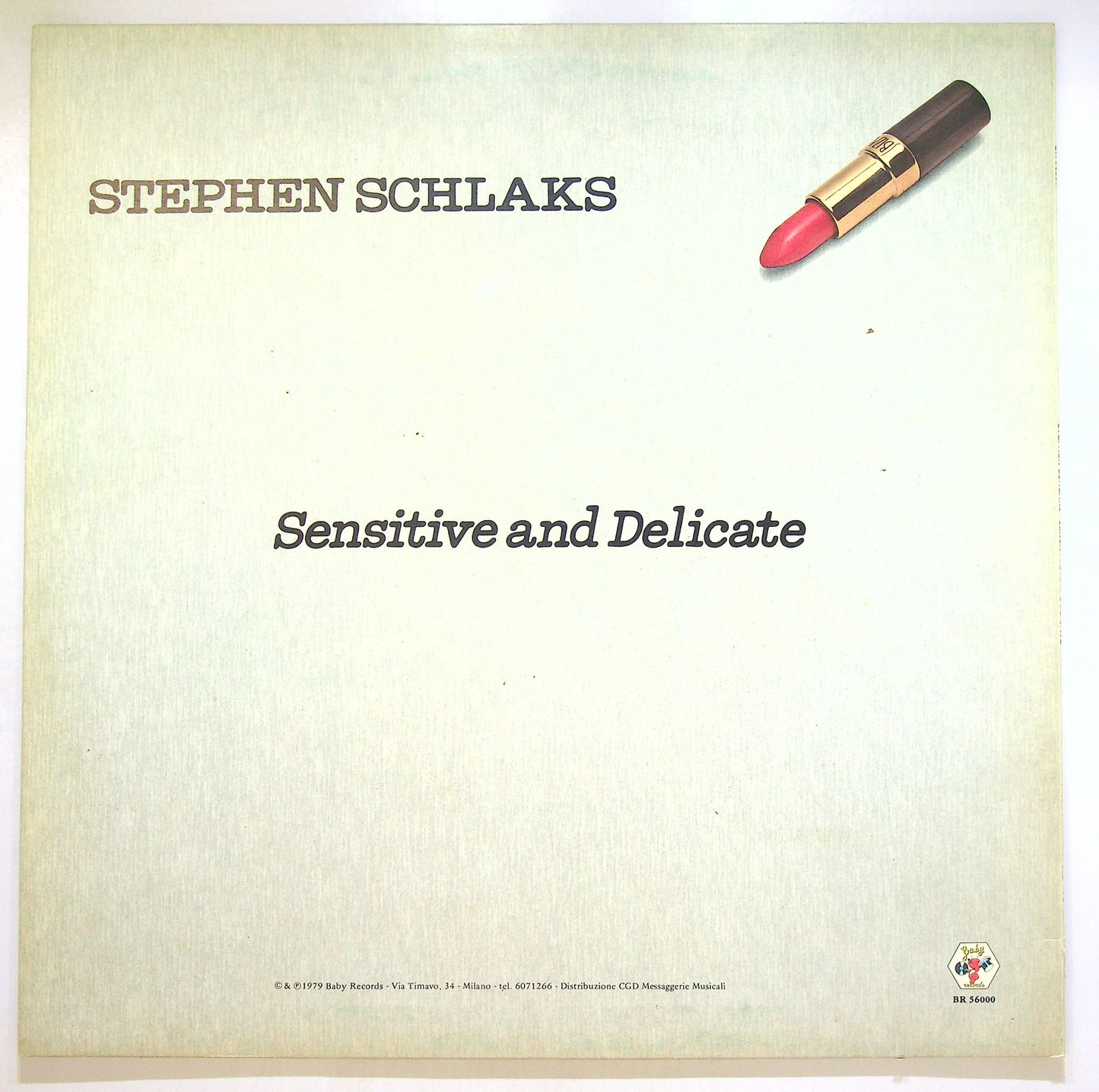 EBOND Stephen Schlaks - Sensitive And Delicate Vinile V106073