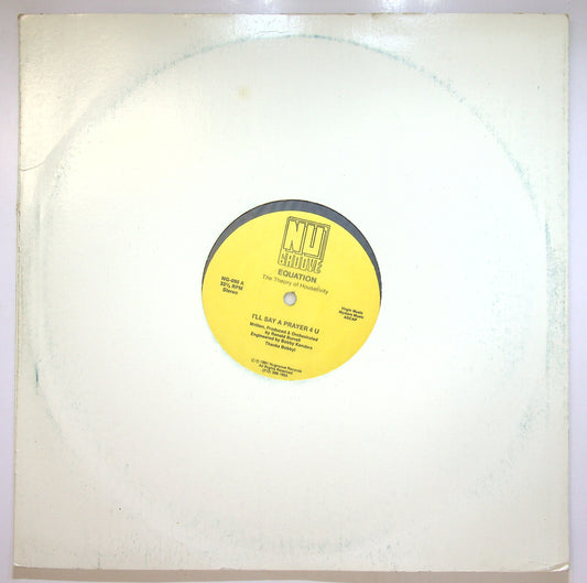 EBOND Equation - The Theory Of Housativity Vinile V109081