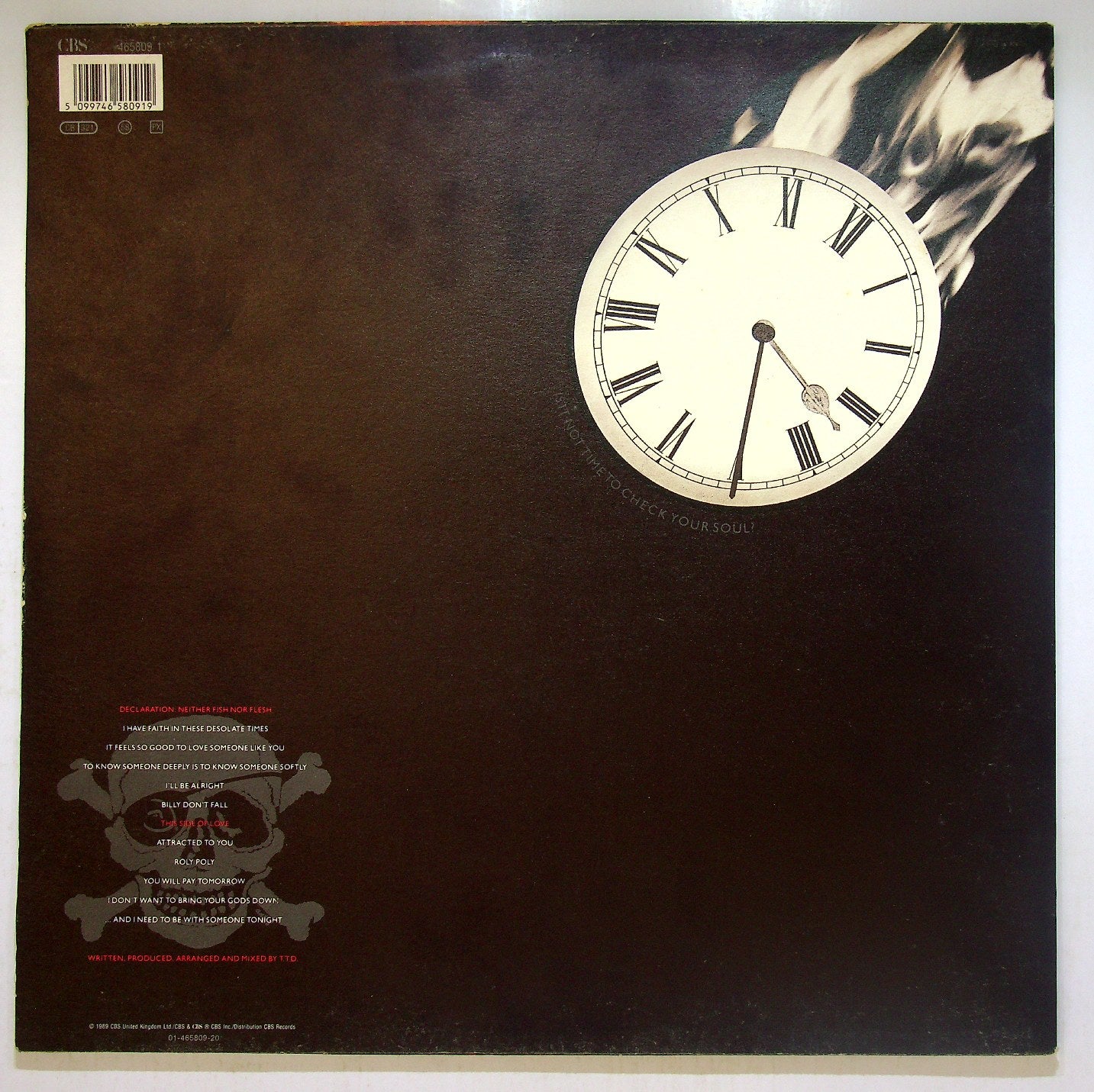 EBOND Terence Trent D'Arby's Neither Fish Nor Flesh Vinile V113064