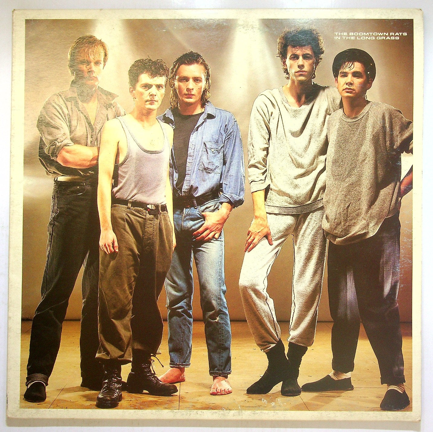 EBOND The Boomtown Rats - In The Long Grass Vinile V113091