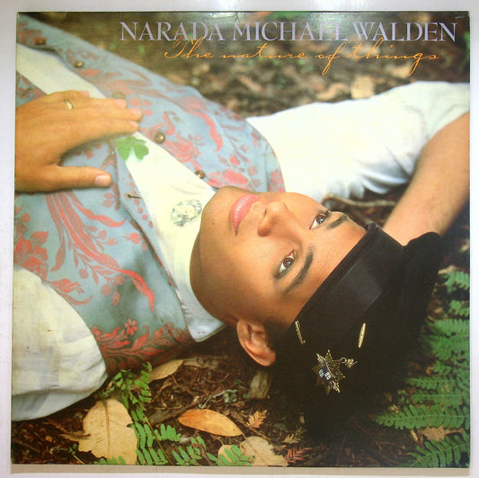 EBOND Narada Michael Walden - The Nature Of Things Vinile V113134
