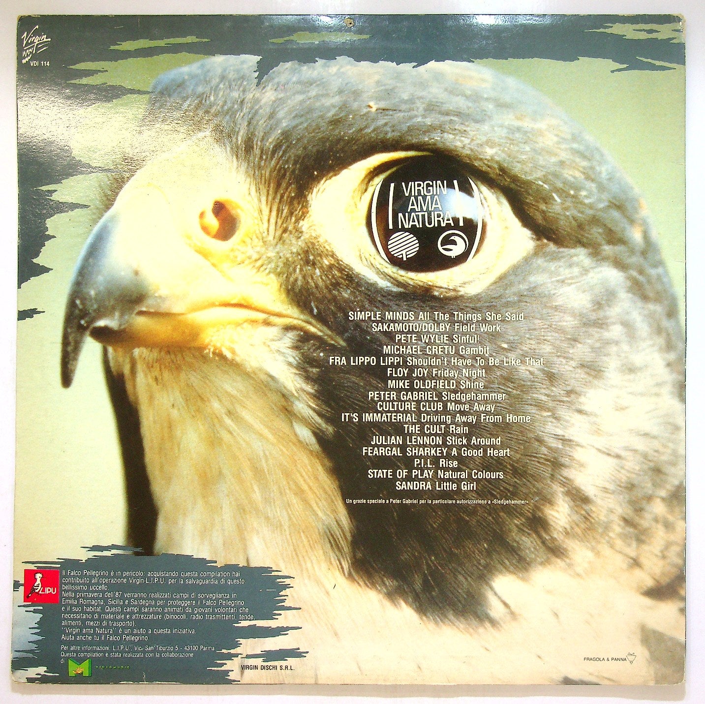 EBOND Various - Virgin Ama Natura Vinile V115059
