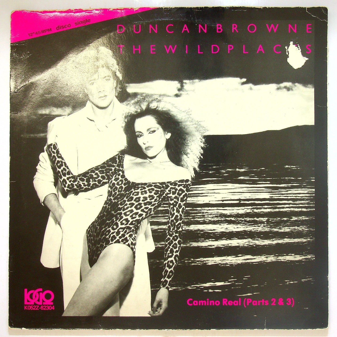 EBOND Duncan Browne - The Wild Places Vinile V115074