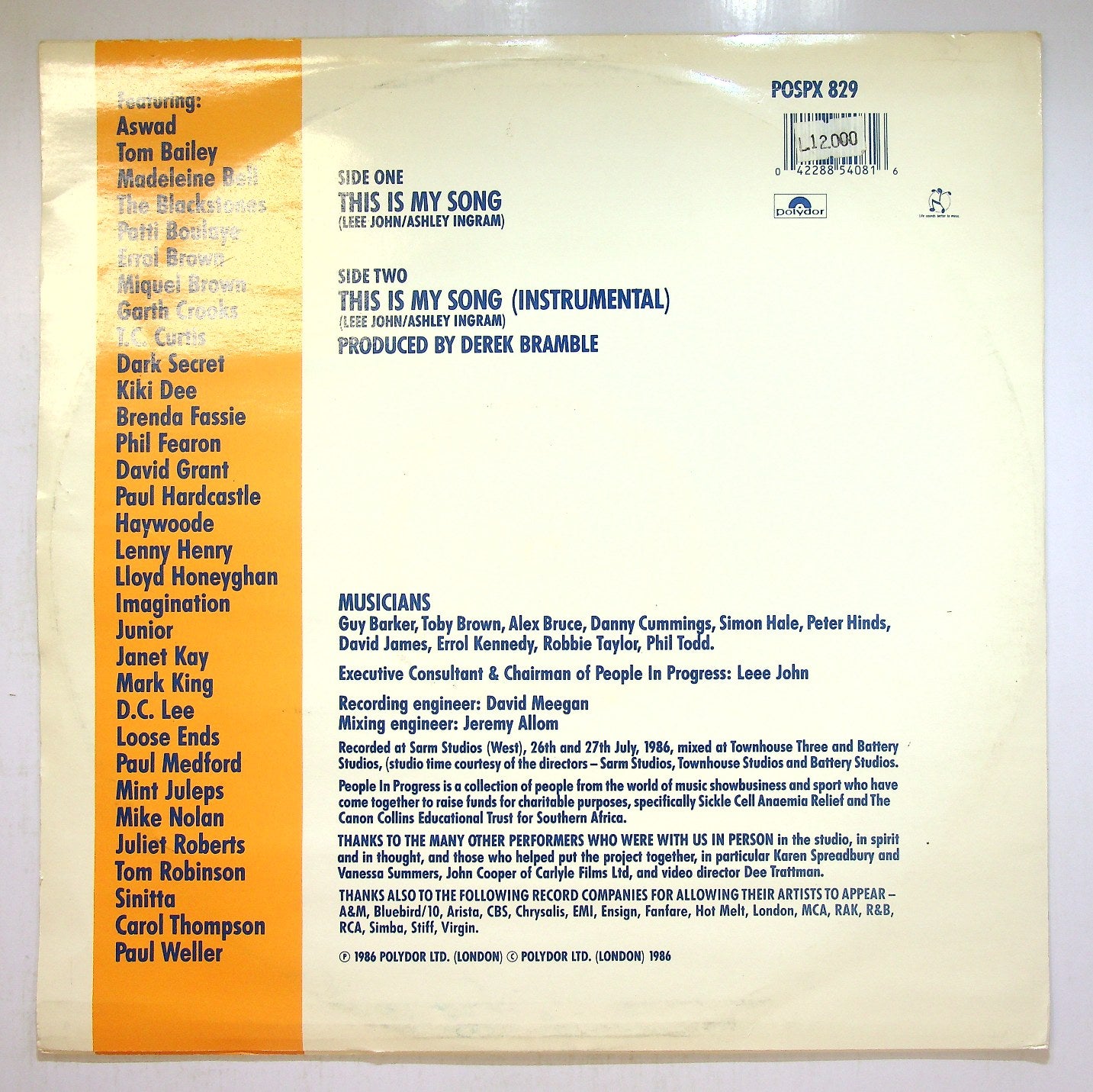 EBOND People In Progress - This Is My Song Vinile V115084