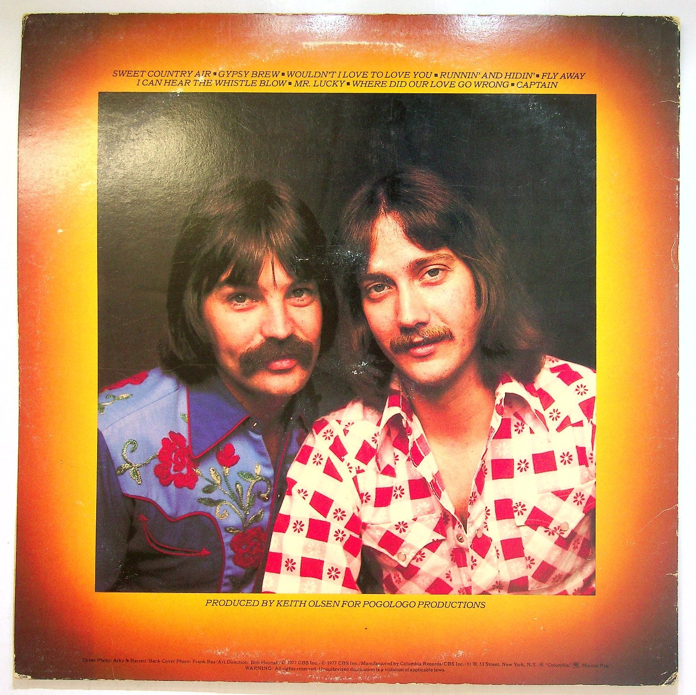 EBOND Fools Gold - Mr. Lucky Vinile V115097