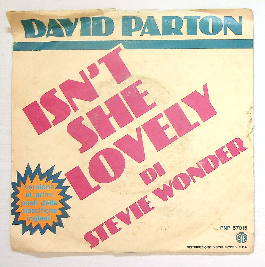 EBOND David Parton - Isn't She Lovely Vinile V129146