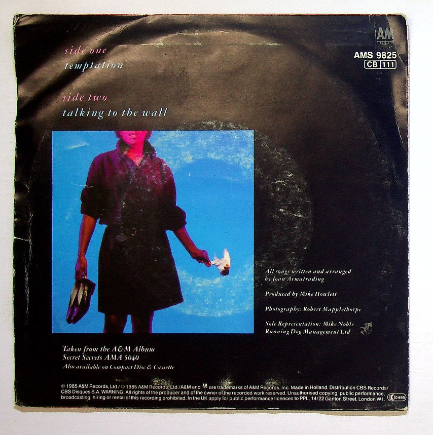 EBOND Joan Armatrading - Temptation Vinile V130072