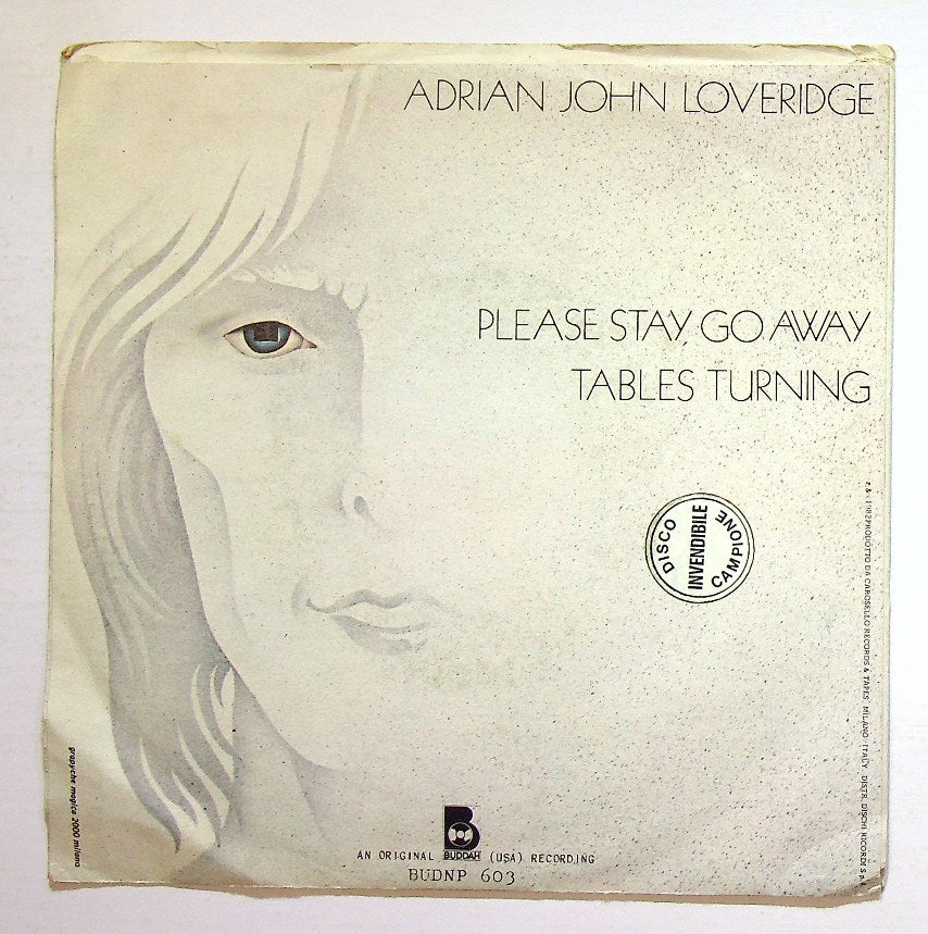 EBOND Adrian John Loveridge - Please Stay, Go Away Vinile V130088