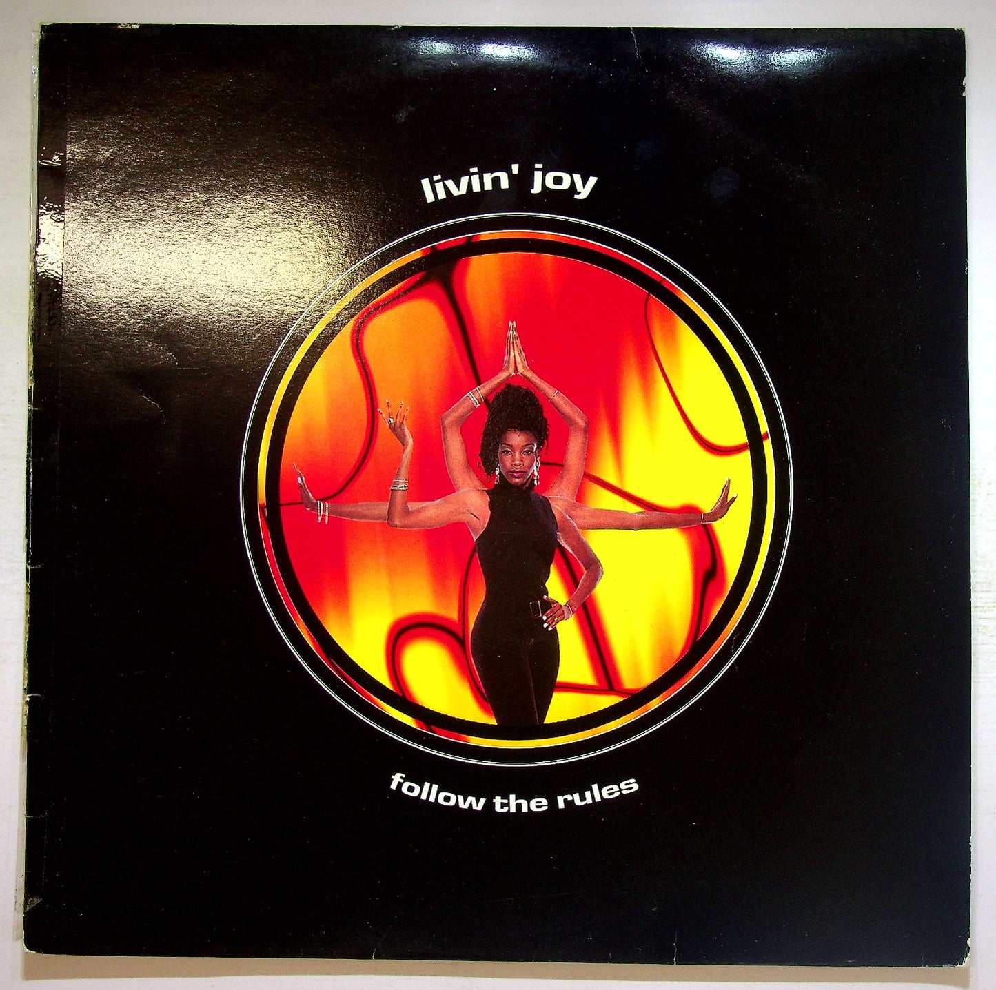 EBOND Livin' Joy - Follow The RulesVinile V132034