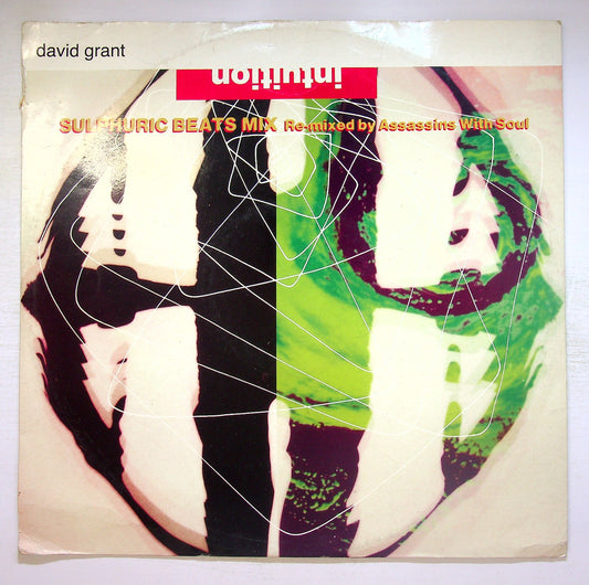 EBOND David Grant - Intuition 88 Vinile V132085