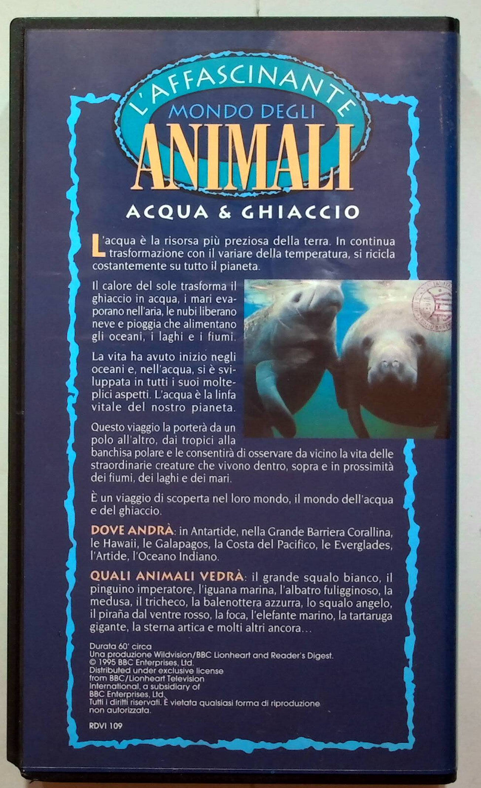 EBOND L'affascinante Mondo Degli Animali - Acqua & Ghiaccio VHS VH001581