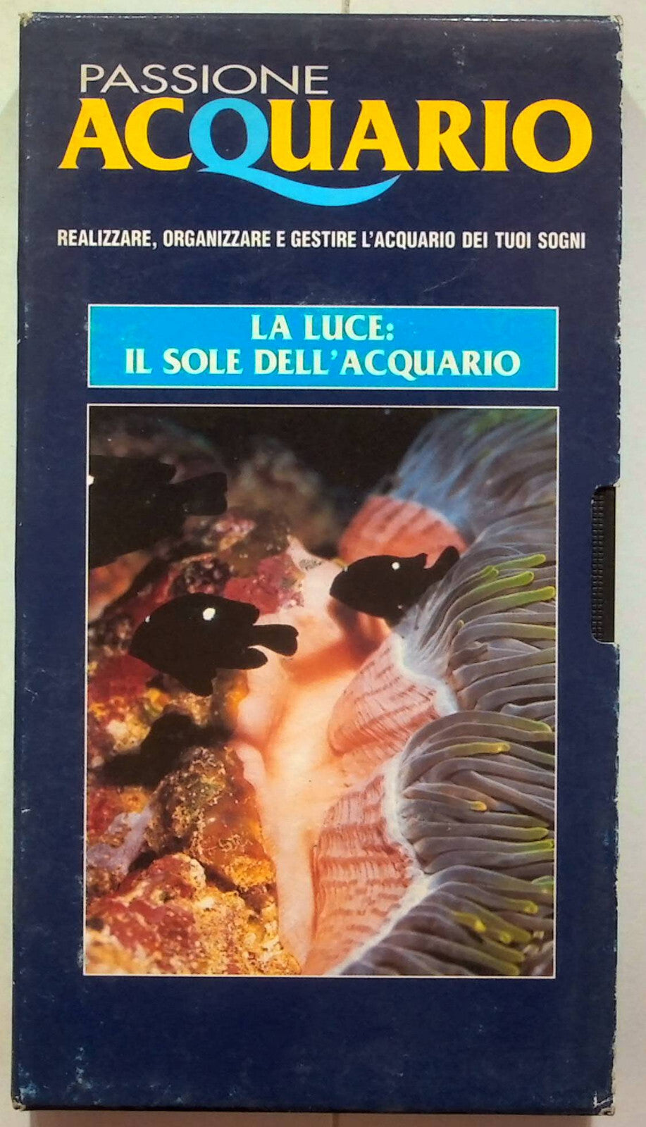 EBOND Passione Acquario - La Luce:il Sole Dell'acquario Editoriale VHS VH001640